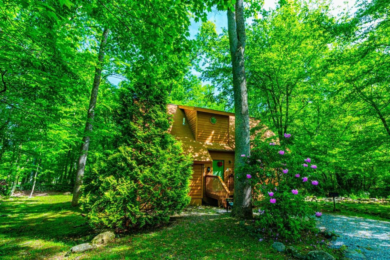 Bear Footin' On The Creek Βίλα Gatlinburg Εξωτερικό φωτογραφία