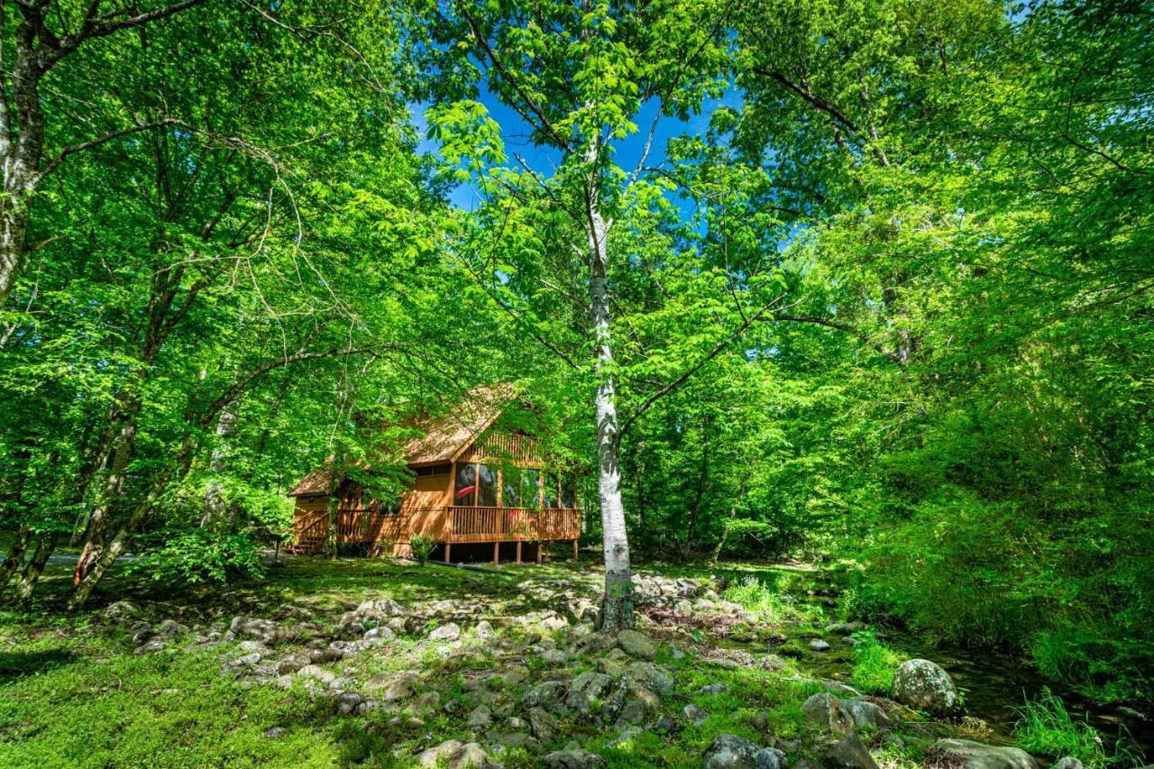 Bear Footin' On The Creek Βίλα Gatlinburg Εξωτερικό φωτογραφία